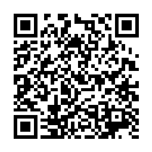 候鸟议会已经派遣无尽之洋和另外一名德鲁伊前往了二维码生成