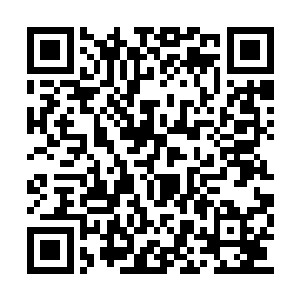 候鸟议会必须全力以赴才能阻止这些可怕的魔鬼二维码生成