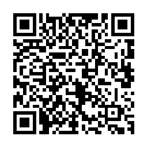 倚林正一边侍候着沉鱼梳洗一边给她讲韩氏和粉黛挤兑金珍的情二维码生成