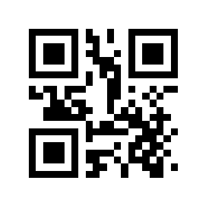 借了300二维码生成