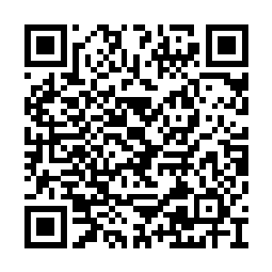 借助帝都带来的一套小玉京法阵才形成稳固核心二维码生成