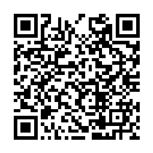 借助旋转之力射出了杀死岛津小鸟丸的那串手里剑二维码生成