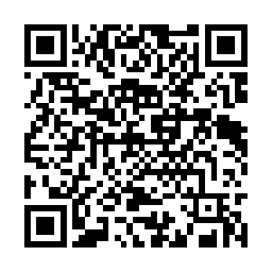 借助灵石的能量他总算再一次启动了魔凰炎的能力二维码生成