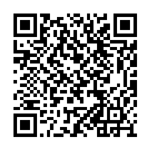 借助这天地至宝勉力维持着自己的最后一丝清醒二维码生成