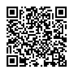 借机打击耿长文背后的人还是真的给司南下这个面子呢二维码生成