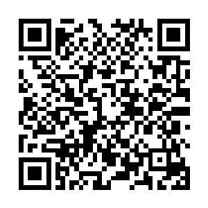 借此引动垂天之叶叶大先生对大西天展开进一步的打击二维码生成