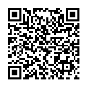 借用森林之力治愈残疾和转换木灵之躯的选择项目二维码生成