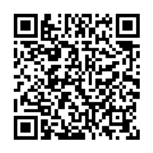 借着和相田先生发生冲突的机会刺杀了相田先生二维码生成
