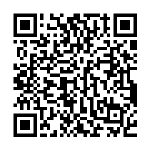 借着天光蒙蒙亮就在一片不熟悉的环境和孤独中慌乱的到处找人二维码生成