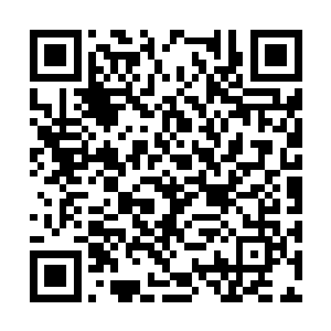 借着月色一个人继续在木屋外面的那片空地上练习二维码生成