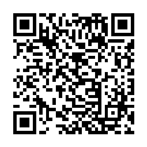 借着每次断弦威势挡下背后呼延猱猱递出的凌厉五刀二维码生成