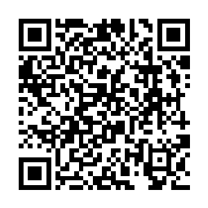 借着火把可以看到有一块巨大的鲜红的宝石闪闪发光二维码生成