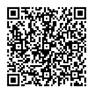 借着这样的渠道来一步步熟悉打听这里的风土人情跟穿梭的那些极端武装分子情报二维码生成