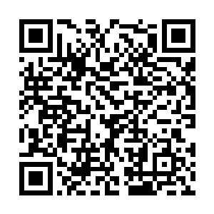 借着这闪电的光安瑞惊恐地发现邵母嘴角滴着鲜血二维码生成