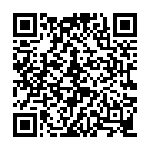 倪道溪不得不暂时放弃了寻找鳄蛟王的藏宝洞府二维码生成