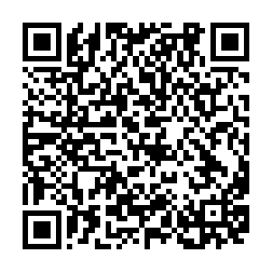 倭寇在张家族长的园子深处发现了两头大黑猪以及五头山羊以及一群鸡鸭鹅二维码生成