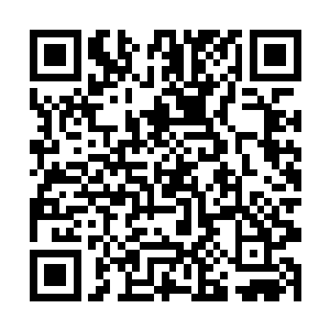 倭寇首领平八郎看着麾下的倭寇重新士气高昂了起来二维码生成