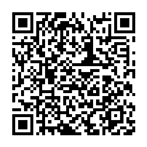 值得一提的是灵药还特意用扫描扫了一下刚才自己藏身的河道草丛二维码生成