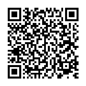 值班的保安大叔无奈地在保安室里冲着外面的流浪狗挥舞着警棍二维码生成