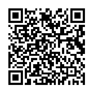 倾刻间就把他衣下防御极高的护甲侵蚀出一个个大洞二维码生成