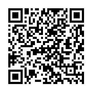 倾城若雪平时对付我们的时候处处透着狡猾如狐的性子二维码生成