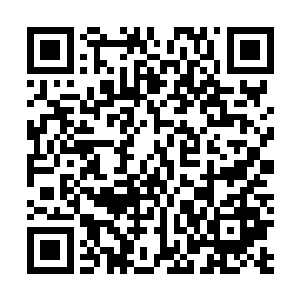 假使在西蒙准备好的时候珍妮还觉得自己的思路不够成熟二维码生成