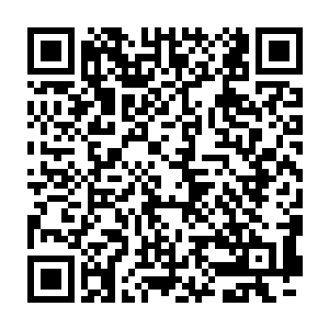 假如今天秩序因鬼骁未能出战而落败……人们对鬼骁的评价并不会降低二维码生成