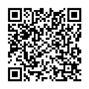 假如贪狼用1%的血量扛了一招能打他2%血量的技能二维码生成