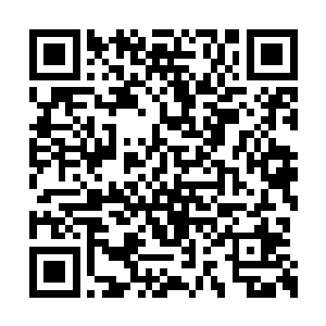 假如这二十几间屋子都有人感染了火焰病毒的话二维码生成