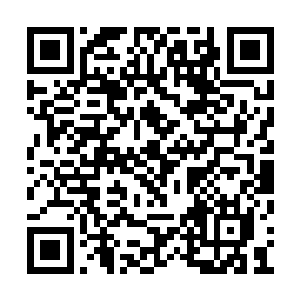假如进阶为神灵的老祖宗若是没有留在死亡之海二维码生成