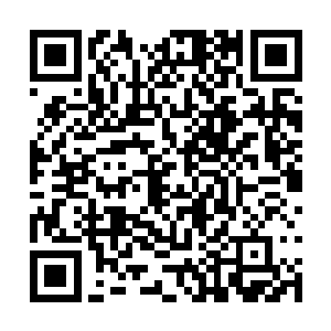 假装没有听出他是在点醒自己和李承铭的亲密关系二维码生成