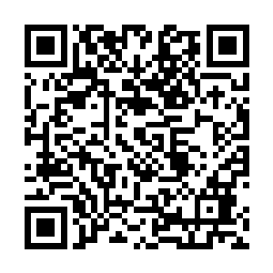 假设萧强和胡东第一次下车的地点到种植基地的距离为x二维码生成