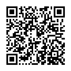 偌大个头的龙战受了这一眼莫名的让人有点可怜二维码生成