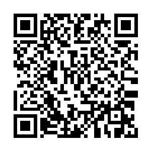 偌大的一池子岩浆不一会儿就被它喝的一干二净二维码生成