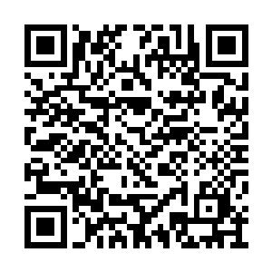 偌大的东方世家需要将一个毛头小子放在眼中么二维码生成