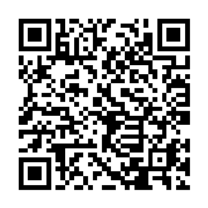 偌大的漩涡水域不到一炷香的时间就被他横渡完了二维码生成