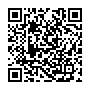 偏偏刚刚他们才非常严肃的将起名权交给了孙子轩二维码生成
