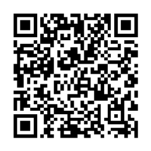 偏偏另外几个鬼蝎族生死境的那个却没有被困在其中二维码生成