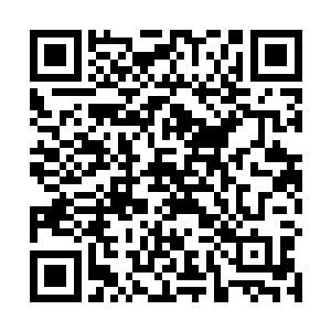 偏偏在上面用提线操纵着你的是厉灵风这样的绝世强者二维码生成