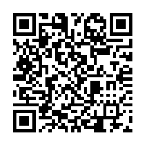 偏偏在改变命运的这一天你给老子丢个破天荒的大脸二维码生成