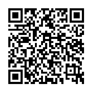 偏偏她们现在都不知道铁熊和孤狼此刻房龄几何二维码生成