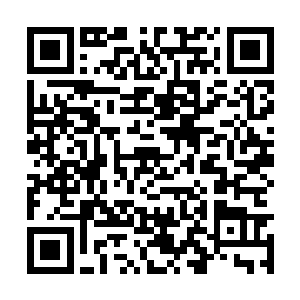 偏偏对你这依托炼魂珠而存在的鬼物却是至毒之物二维码生成