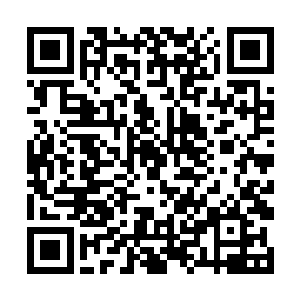 偏偏就漏掉了敌人居然不闪不避也他娘的不招架格挡二维码生成