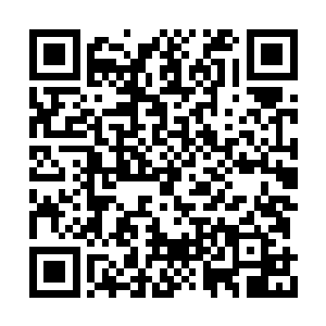 偏偏战如意的家世背景也的确不用给他什么面子二维码生成