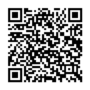 偏偏秦方就是干了这样一件堪称胆大包天的事情二维码生成