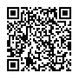 偏偏那九原默巫竟然在被攻击的时候还能分心关心到这边二维码生成