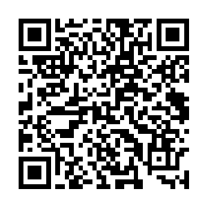 偏偏黄埔无痕还把本应该军队做的事情也都推给他二维码生成