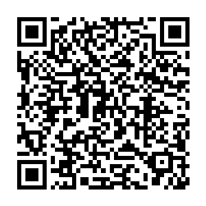 偏房中冲出来的人甚至还有做出任何反应就被江海生一枪击穿了胸口二维码生成