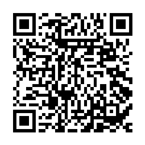 偏生已经一把年纪的司机竟然还一口一声恭恭敬敬地叫着大师二维码生成
