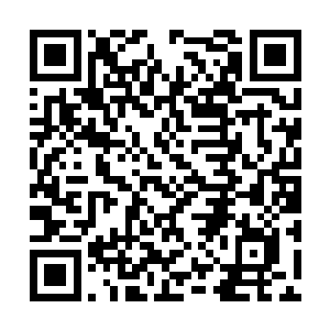 偏要学那不知死活的王伦一门心思跟朝廷死磕到底二维码生成